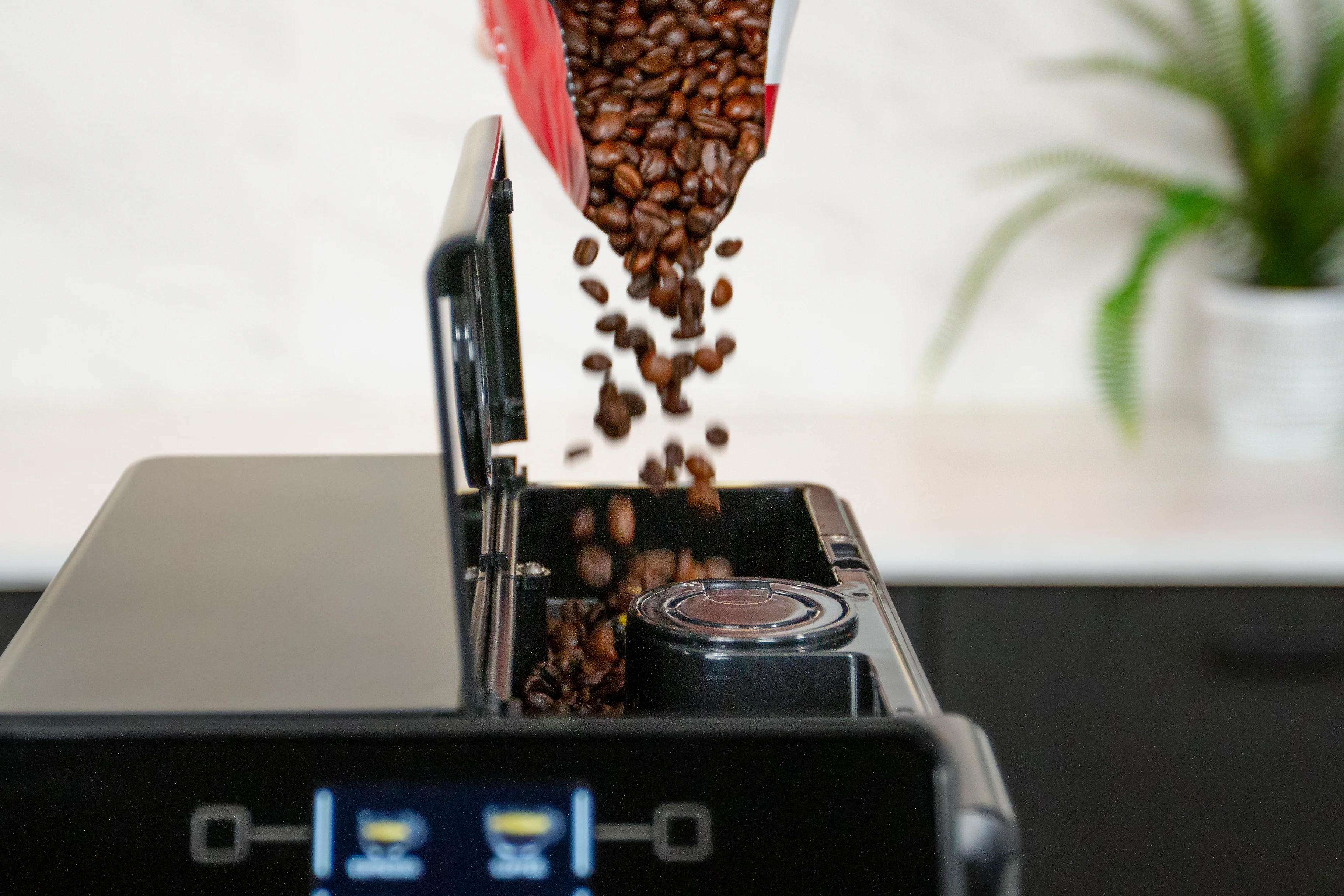 Gaggia Magenta Plus - Image 8